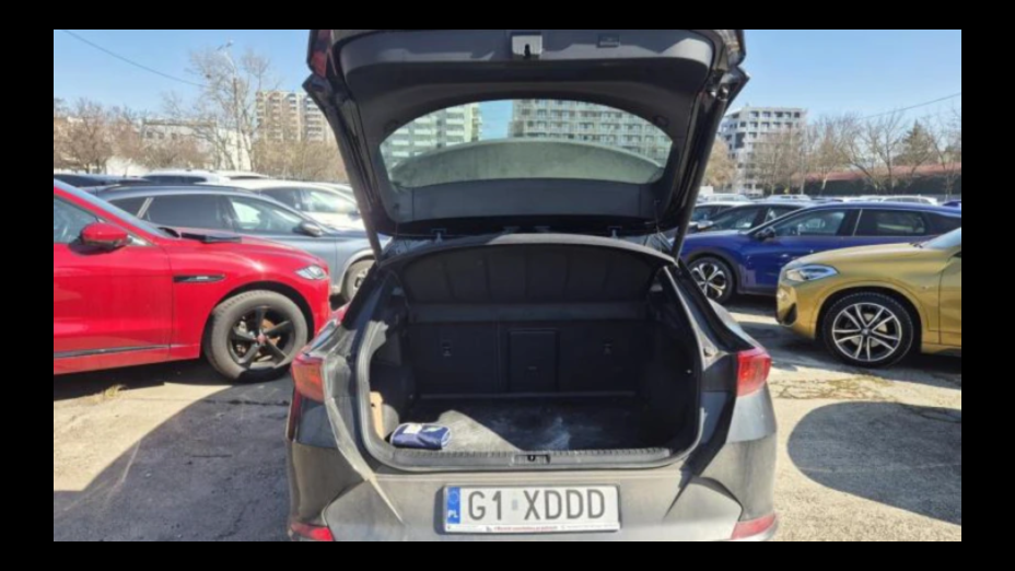 CUPRA Formentor Formentor 2.0 TSI 4Drive DSG