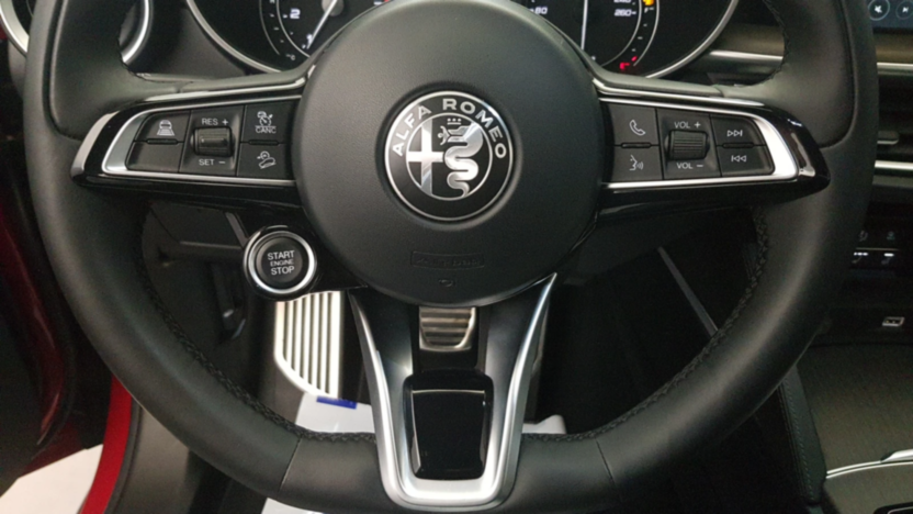 ALFA ROMEO Stelvio Stelvio 2.0 Turbo TI Q4 aut
