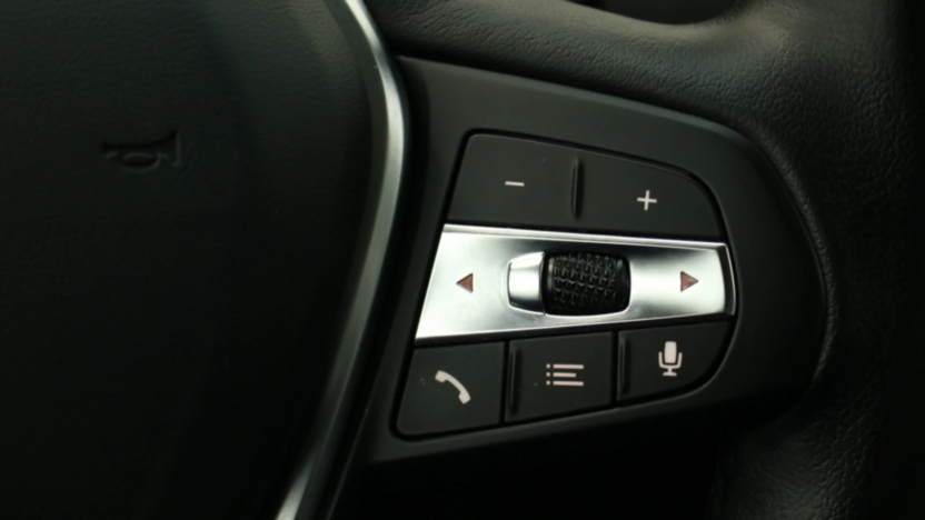 BMW Seria 3 318i Advantage aut