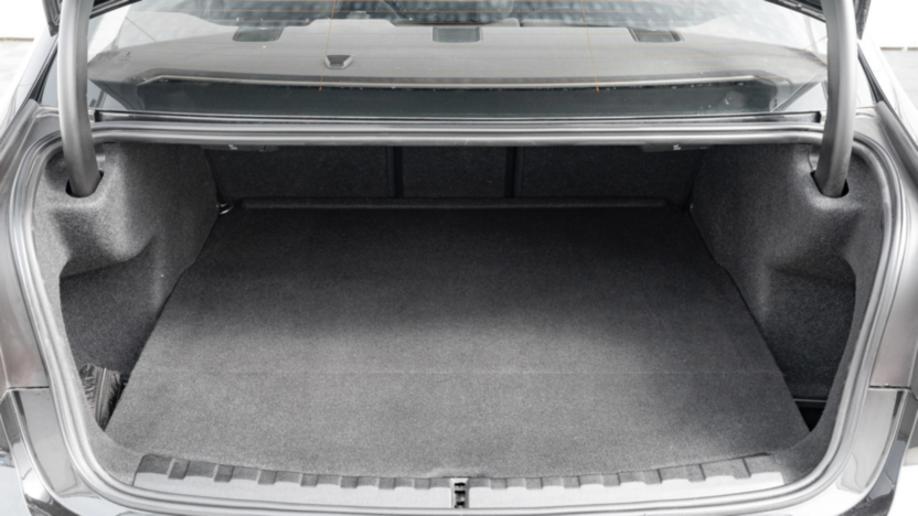 BMW Seria 3 318i Advantage aut