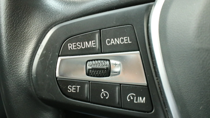 BMW Seria 3 318i Advantage aut