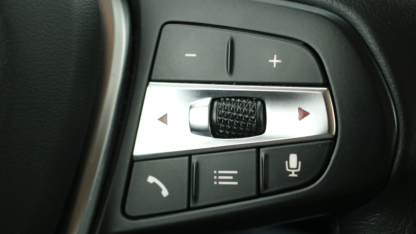 BMW Seria 3 318i Advantage aut