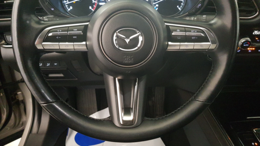 MAZDA CX-30 CX-30 2.0 mHEV Hikari AWD aut