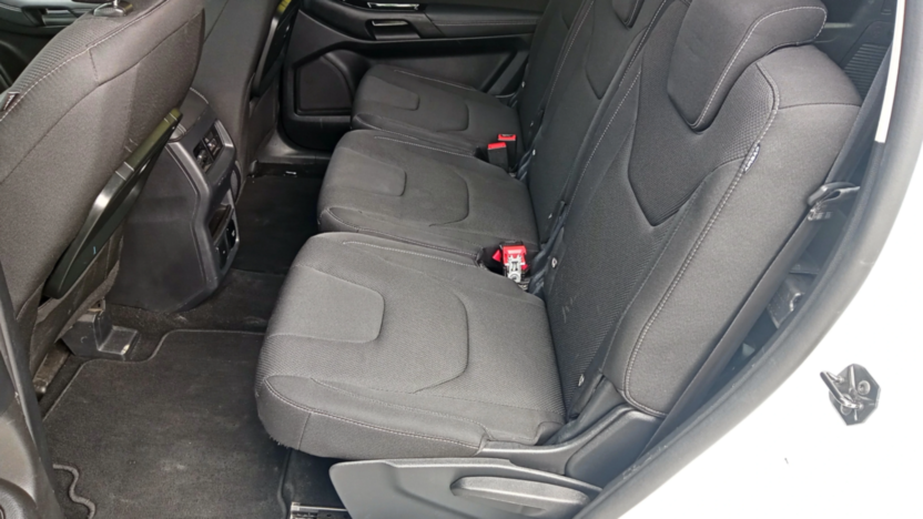 FORD S-MAX S-MAX 2.0 EcoBlue Titanium aut