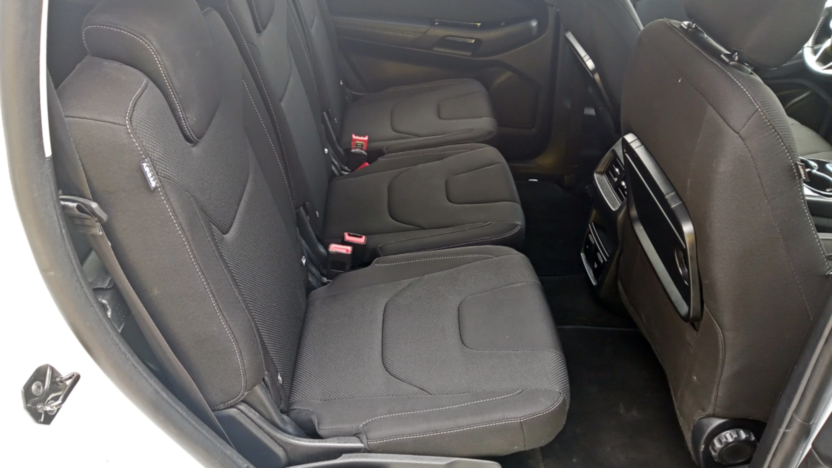 FORD S-MAX S-MAX 2.0 EcoBlue Titanium aut