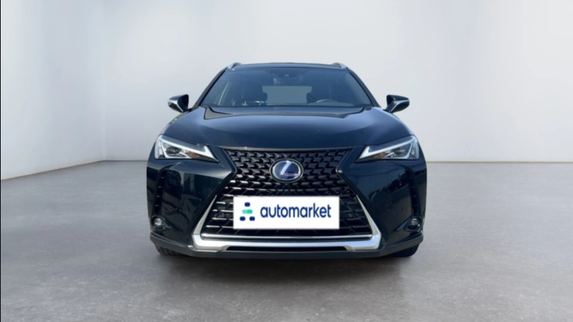 LEXUS UX UX 250h GPF Business Edition 2WD