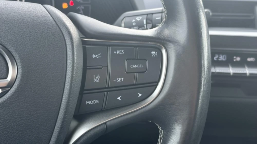 LEXUS UX UX 250h GPF Business Edition 2WD