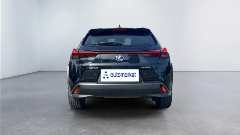 LEXUS UX UX 250h GPF Business Edition 2WD
