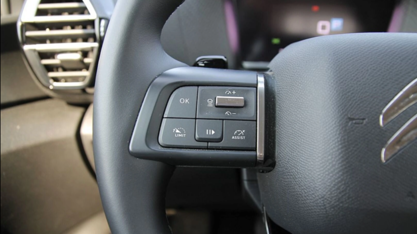 CITROEN C4 X C4 X 1.2 PureTech Max S&S EAT8