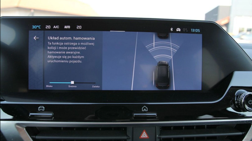 CITROEN C4 X C4 X 1.2 PureTech Max S&S EAT8