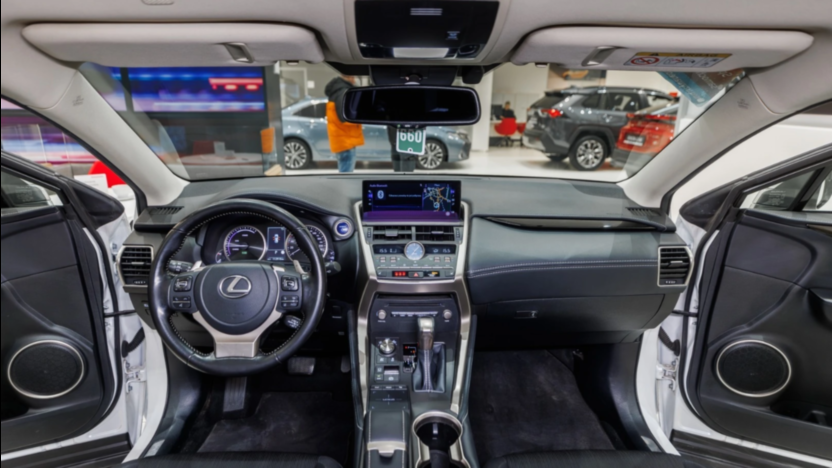 LEXUS NX NX 300h Optimum AWD