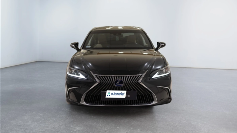 LEXUS ES ES 300h Elegance