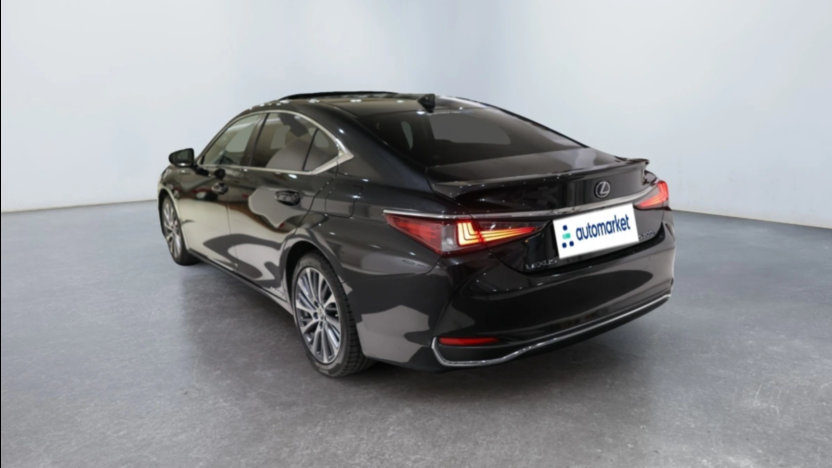 LEXUS ES ES 300h Elegance
