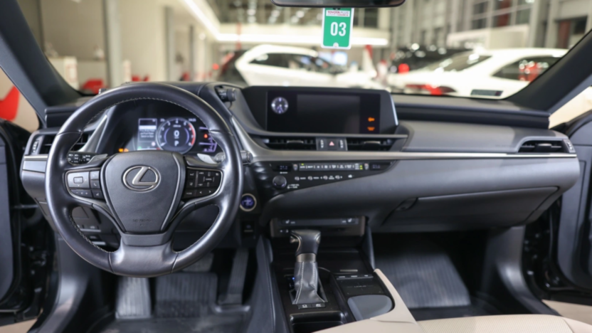 LEXUS ES ES 300h Elegance