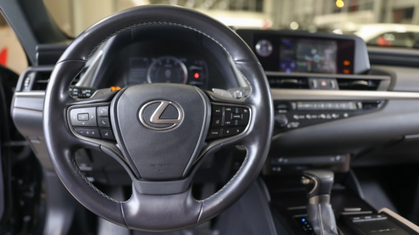 LEXUS ES ES 300h Elegance
