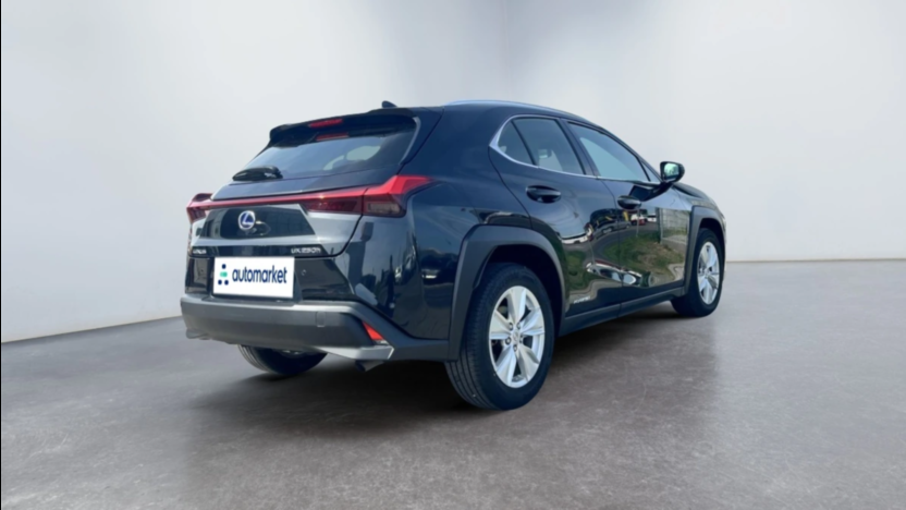 LEXUS UX UX 250h GPF Business Edition 2WD