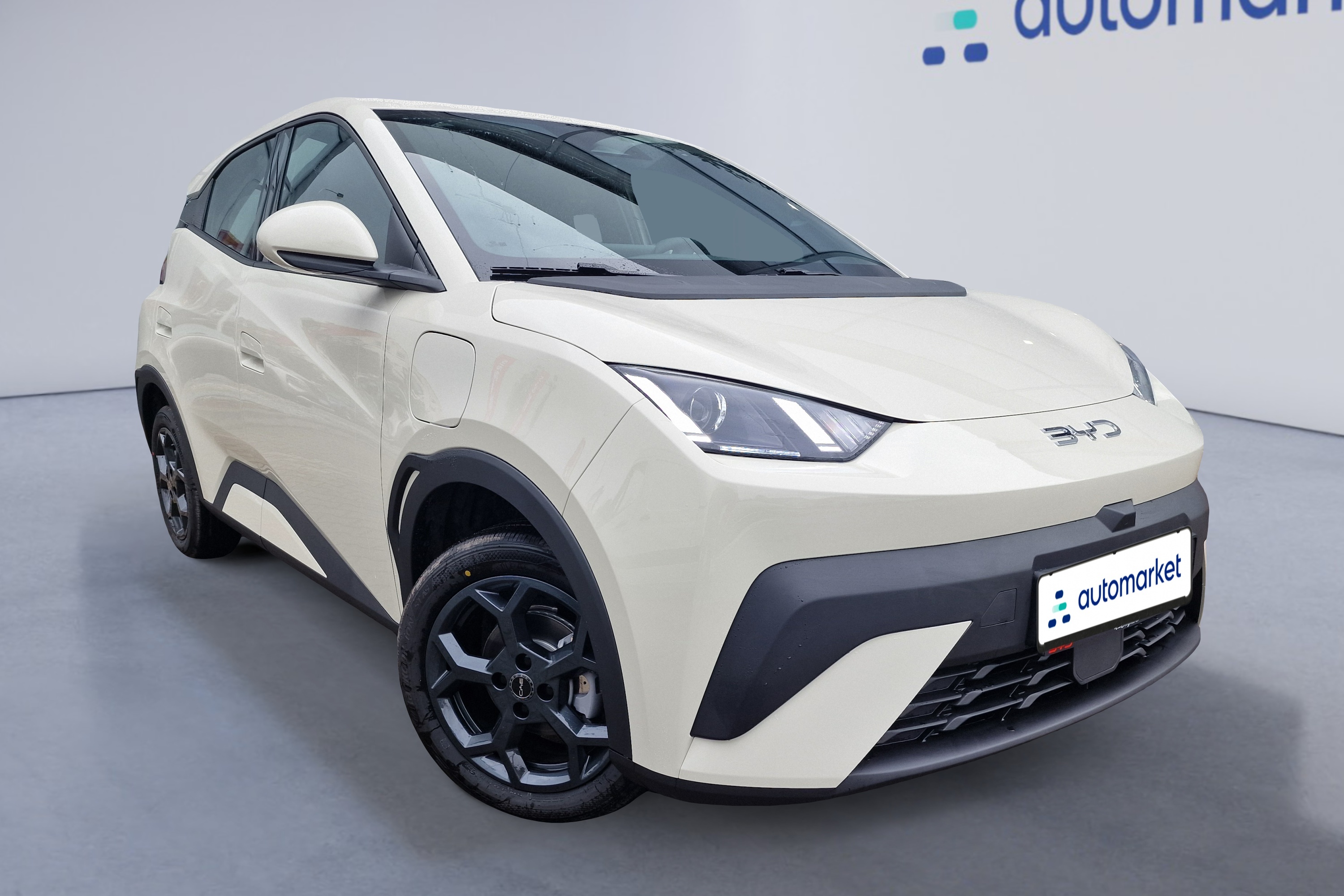 BYD Dolphin Surf